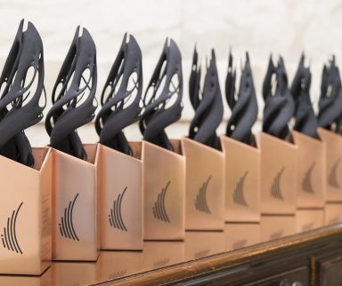 GGIA awards lined up on a table