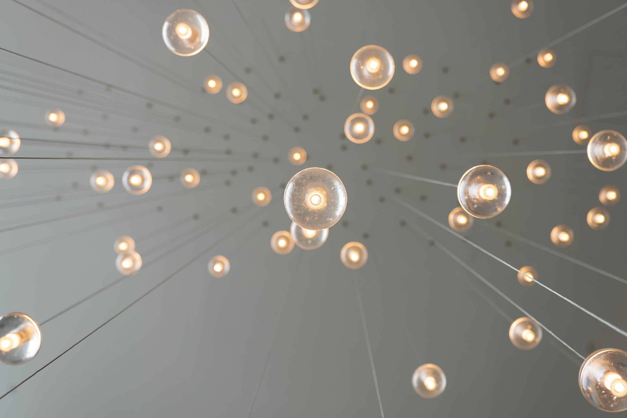 lightbulbs hanging