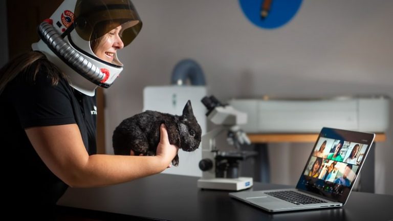 Woman in an astronaut helmet holds a cat in front of a laptop showing an online meeting
