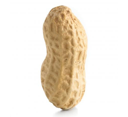 Close up photo of a peanut in its shell